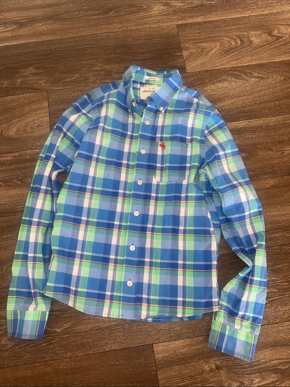 Abercrombie & Fitch Blue, Green & White Plaid Button-Down Shirt - Boys - muscle